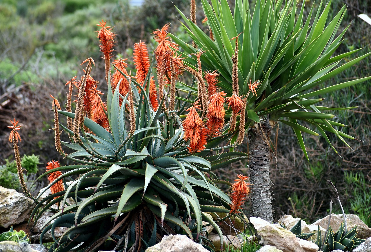 découvrez des matériaux résistants aux intempéries, idéaux pour une durabilité optimale dans des conditions climatiques variées. parfaits pour les projets extérieurs, ces matériaux garantissent une protection efficace contre la pluie, le soleil et le vent.