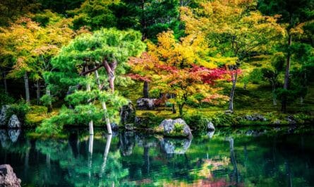 découvrez la beauté apaisante d'un jardin japonais, un espace harmonieux mêlant nature, eau et traditions. explorez ses éléments emblématiques, tels que les pierres, les lanternes et les éléments aquatiques, pour une expérience zen inoubliable.