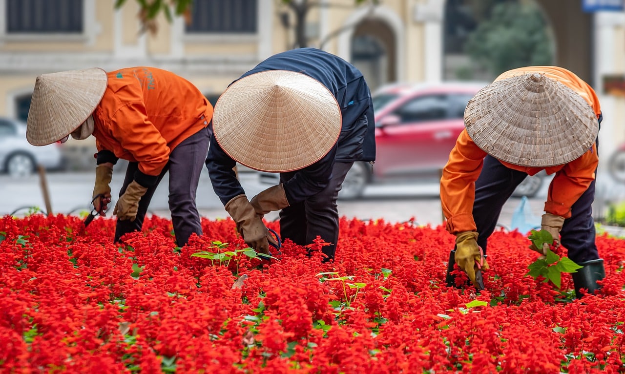 découvrez l'urban gardening, une pratique innovante qui transforme les espaces urbains en véritables oasis de verdure. apprenez à cultiver vos propres légumes, herbes et fleurs en ville, tout en favorisant la biodiversité et en améliorant votre qualité de vie.