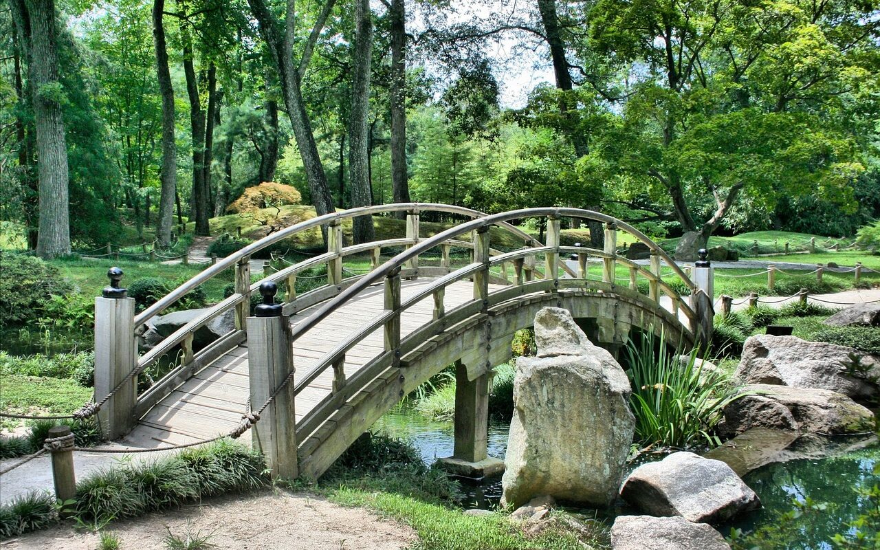 découvrez la beauté apaisante des plantes de jardin japonais. explorez notre sélection variée de plantes emblématiques, des cerisiers aux bambous, idéal pour créer un jardin zen harmonieux et serein.