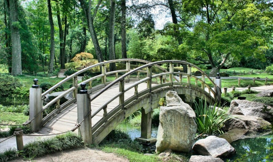 Les plantes et arbustes incontournables pour créer un jardin japonais authentique