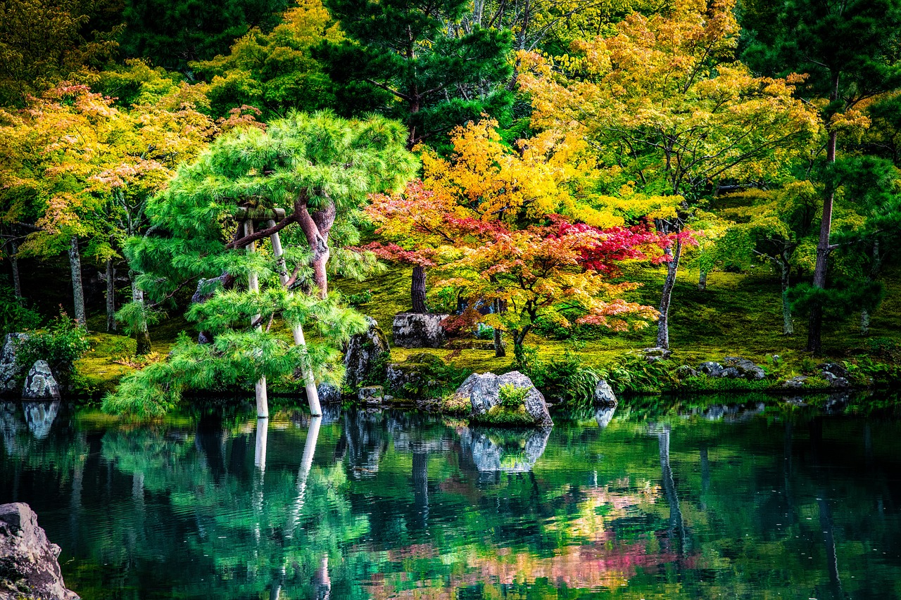 découvrez la beauté et l'harmonie des plantes de jardin japonais. explorez les variétés traditionnelles et modernes, apprenez à les cultiver pour créer un espace zen paisible et raffiné dans votre propre jardin.